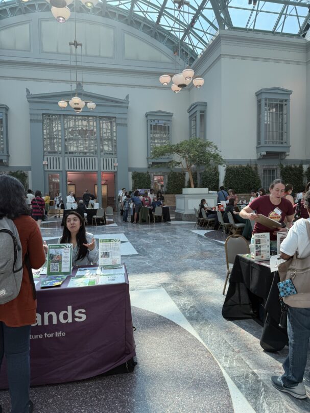 Fall Programs Library Chicago Summer at Chicago Public Library: Reading and Nature, a Perfect Combo ...